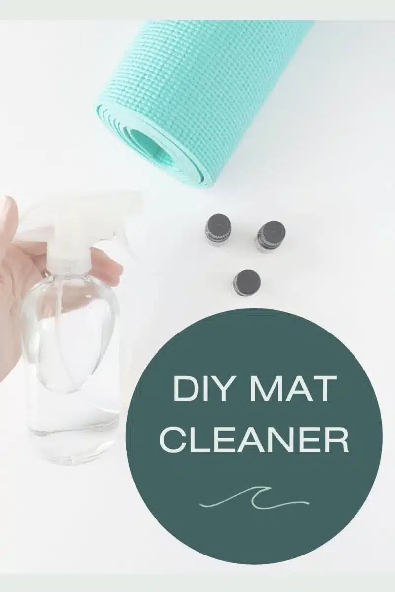 DIY Mat Cleaner Lindywell