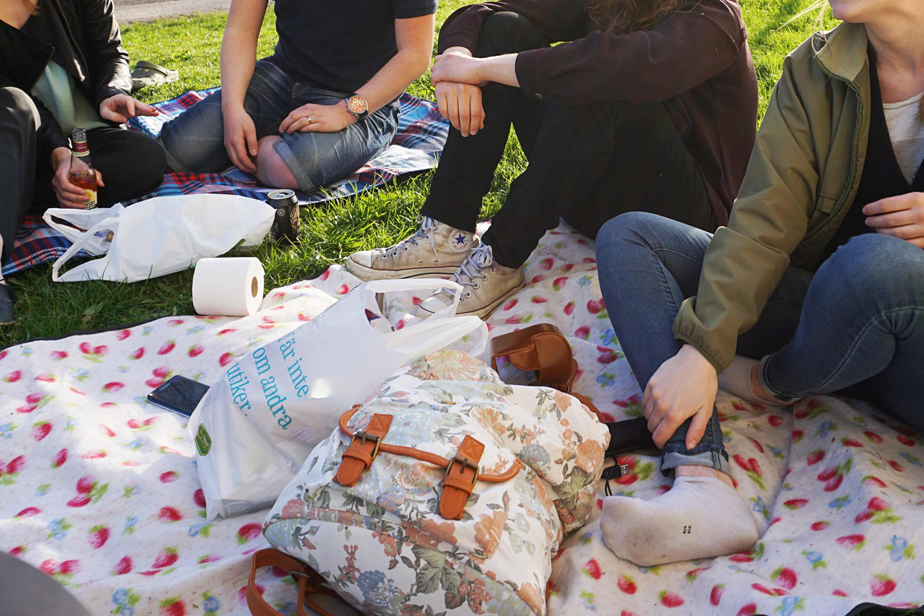 Dangerous Lighter Fluid And Cosy Barbecue Linneaurea