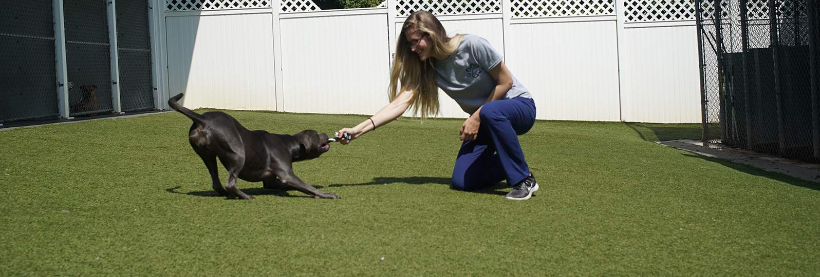 lbboarding Lineberger Veterinary Hospital