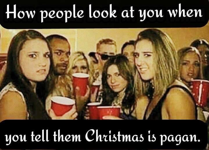 Funny Anti Christmas Pictures The Best AntiChristmas Meme's Lines & Precepts