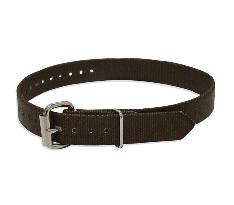 Buckingham Single Piece Climber Strap 2639