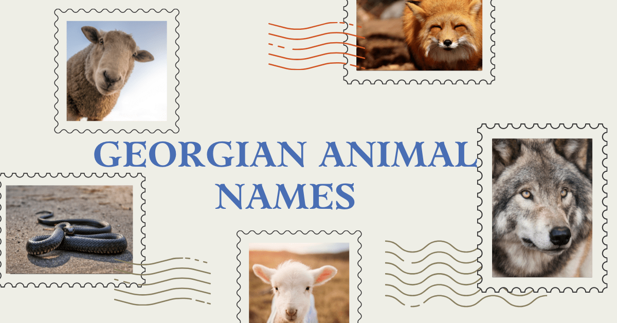 15+ Interesting Animal Names