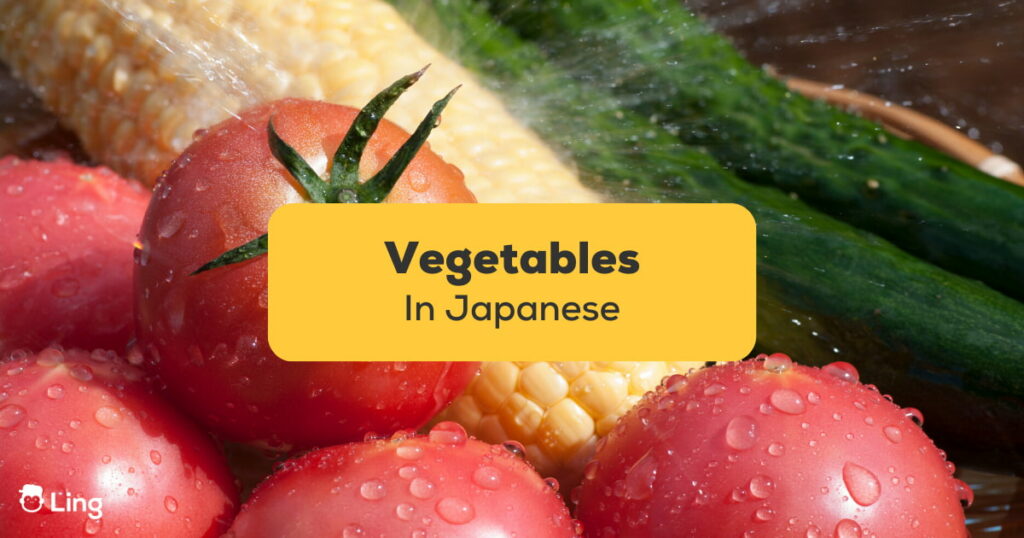 15+ Easy Vegetables In Japanese To Know