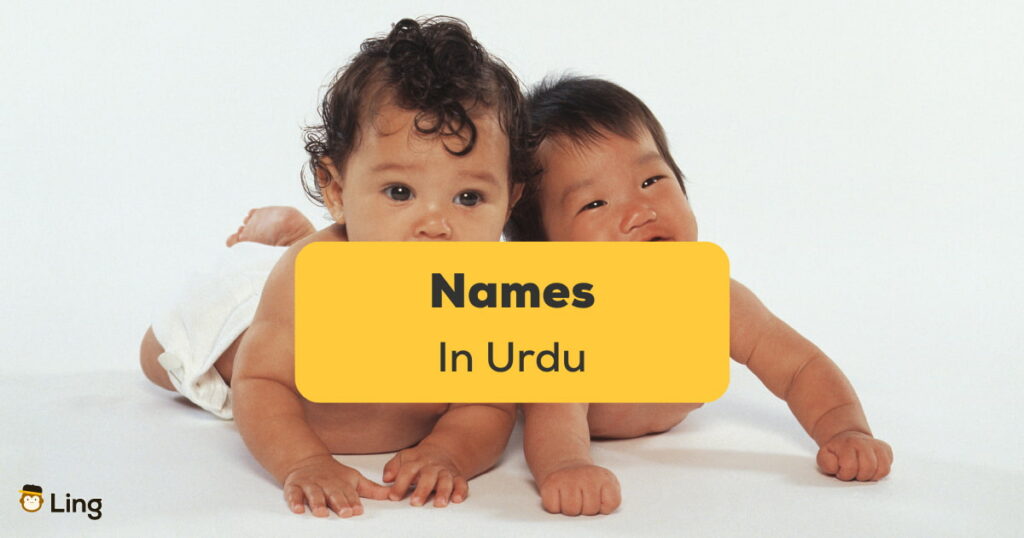 Big Book Of Baby Boy Names edu.lbz.ru