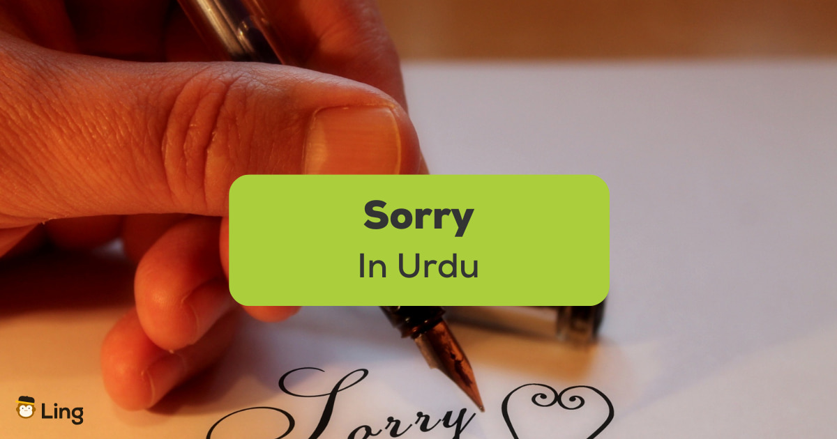 Say Sorry In Urdu 10+ Remarkable Ways