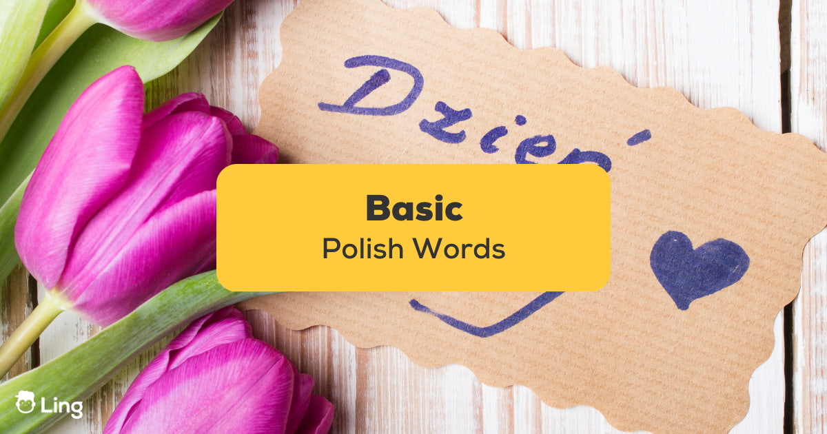 70+ Basic Polish Words For Your Amazing Trip!