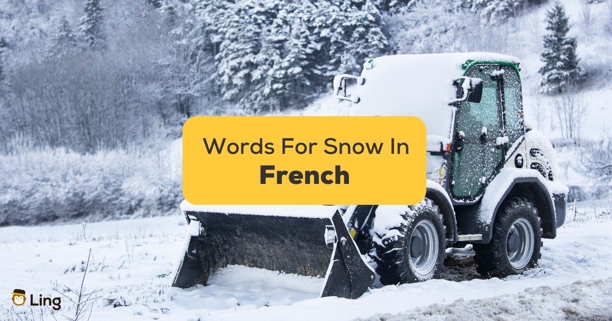 1 Best Guide French Words For Snow