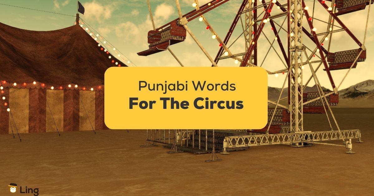 18+ Easy Punjabi Words For The Circus