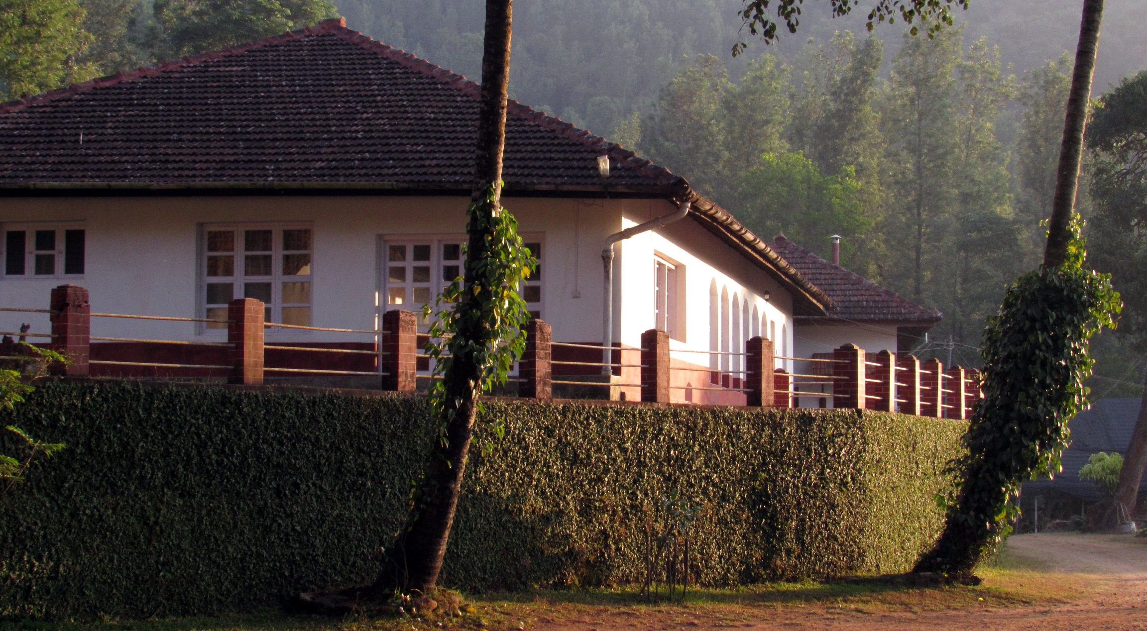 All Linger Homestays Options delightfully