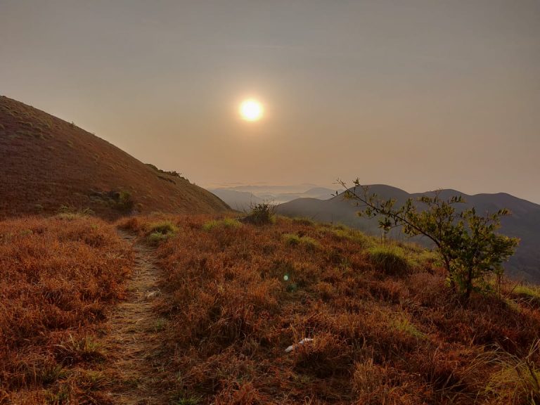 All Linger Homestays Options delightfully