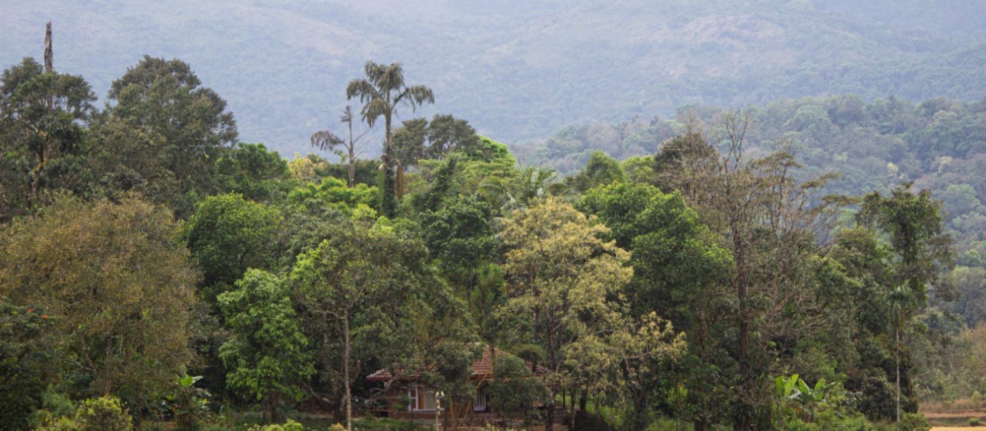 Blog delightfully local weekends