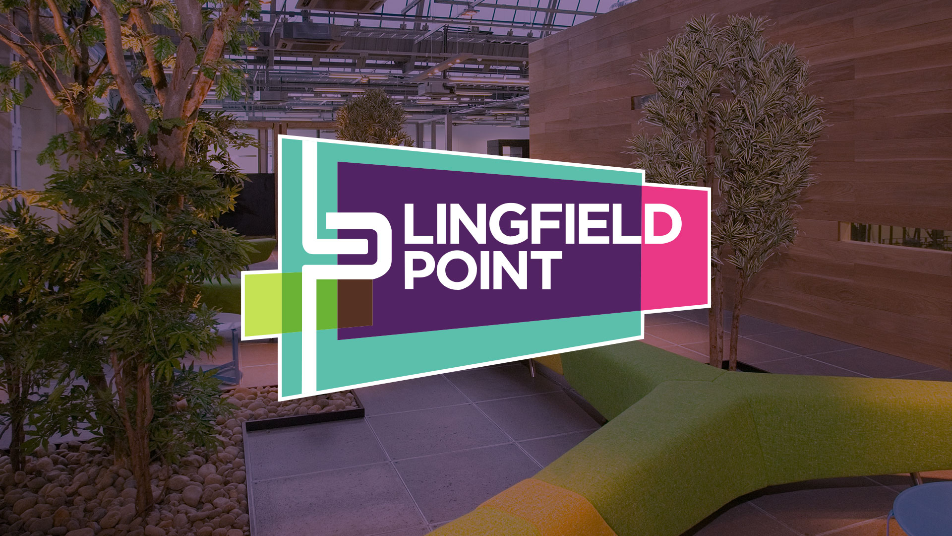 News Lingfield Point