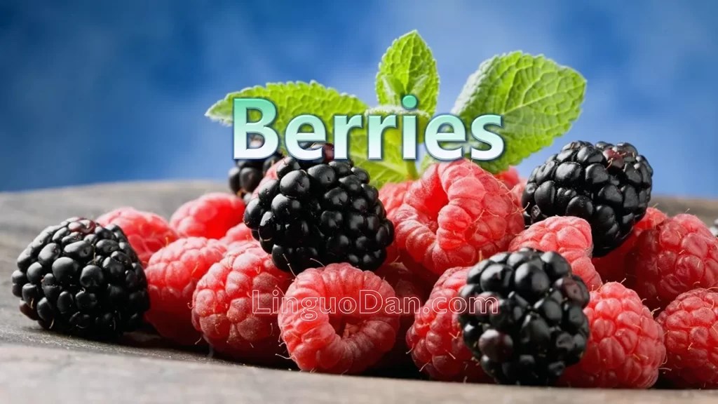 Ягідний словник назви ягід англійською LinguoDan