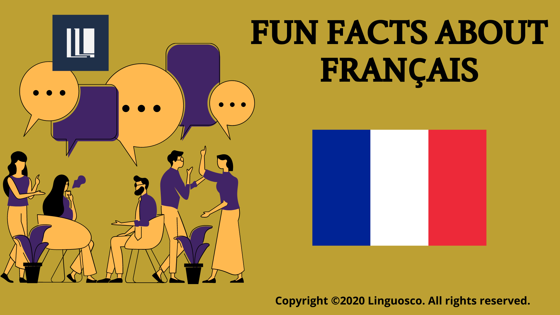 5 Fun Facts About Français