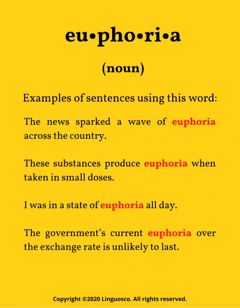 Consultancy Word of the Week Part 6 Euphoria