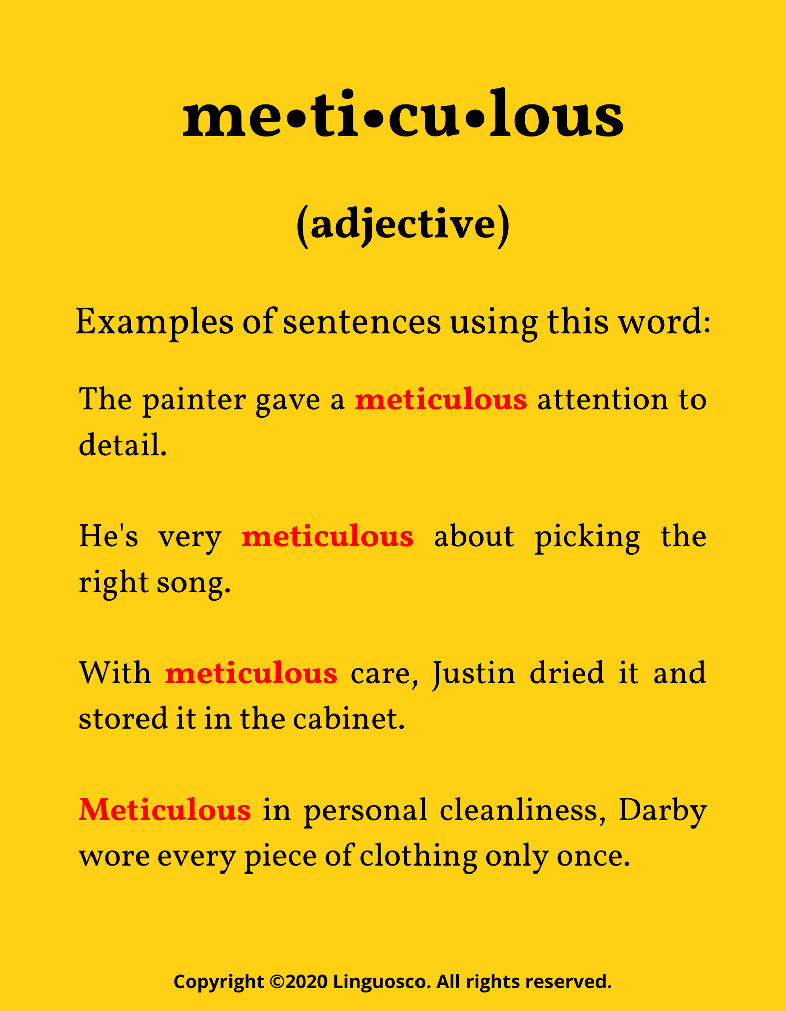 Word of the Week Part 17 Meticulous (November 2020)
