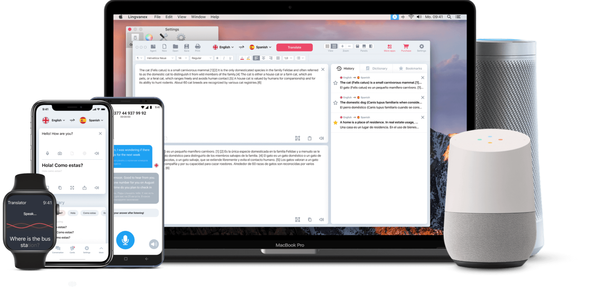 Edge Extension for Translation and Dictionary Lingvanex Translation