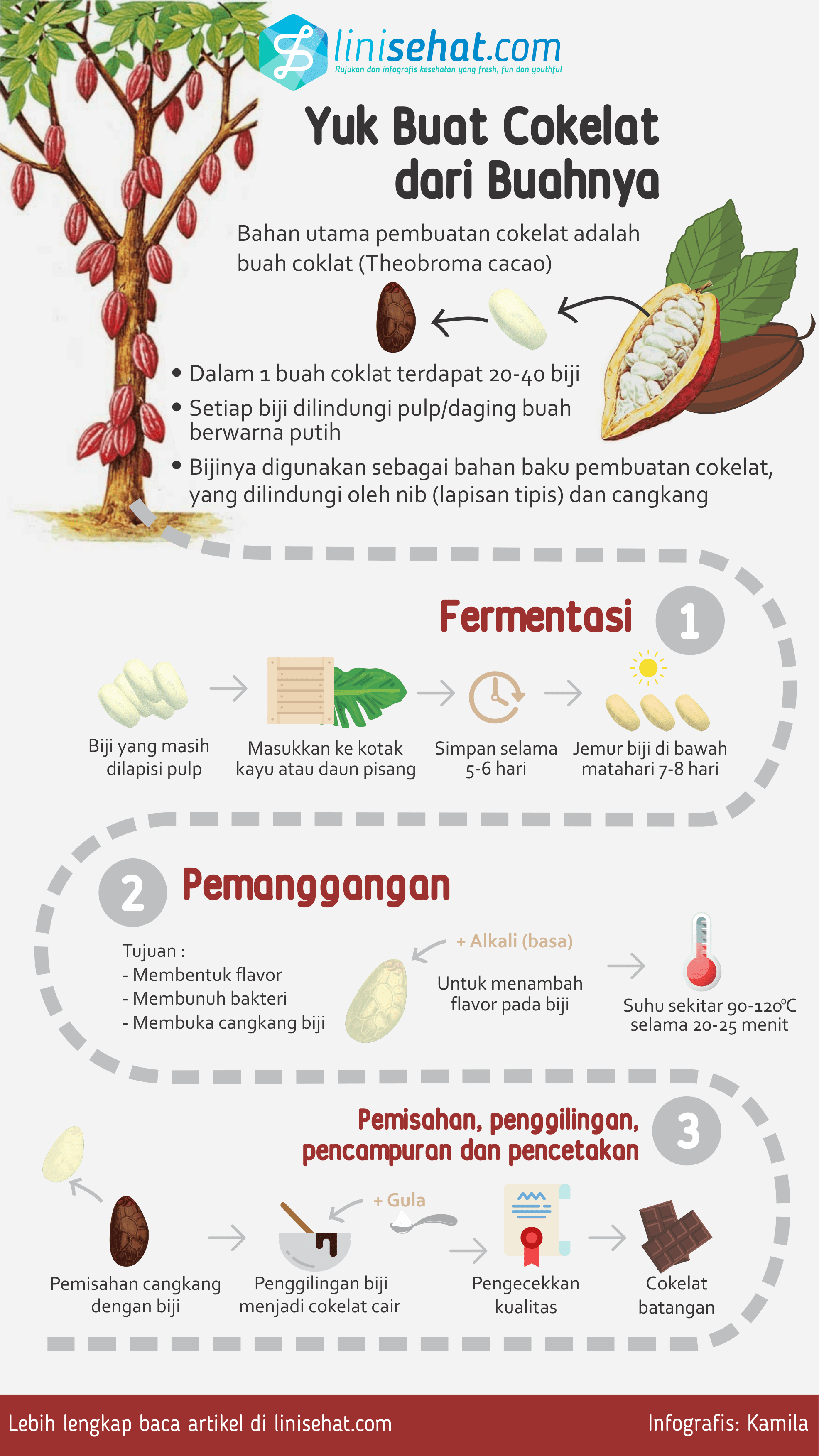 Yuk, Buat Cokelat Dari Buahnya! - Linisehat.com