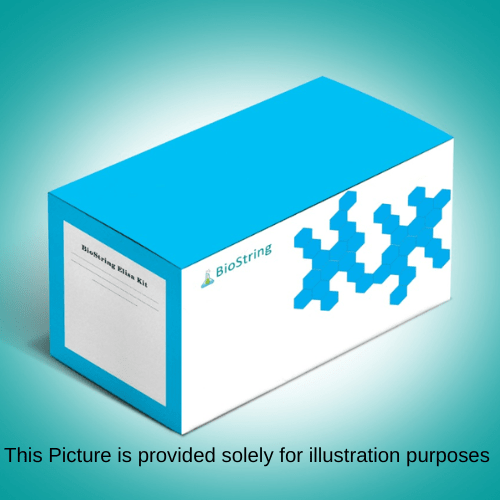 Catalase (CAT) Activity Assay Kit Link Biotech