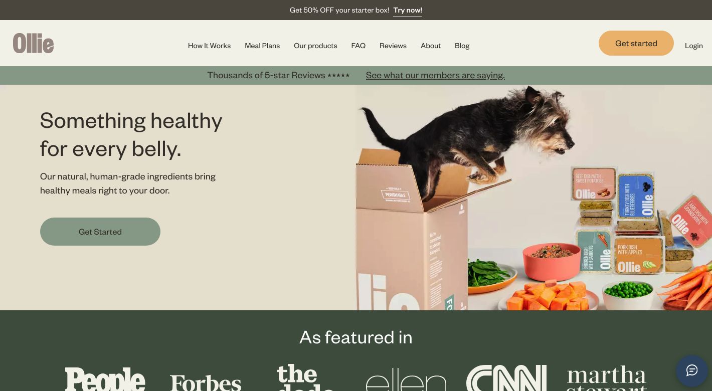 Ollie Pets Affiliate Program How To Get Started (2024)