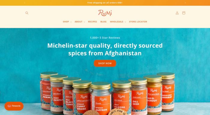 Rumi Spice Affiliate Program - How To Get Started (2024)