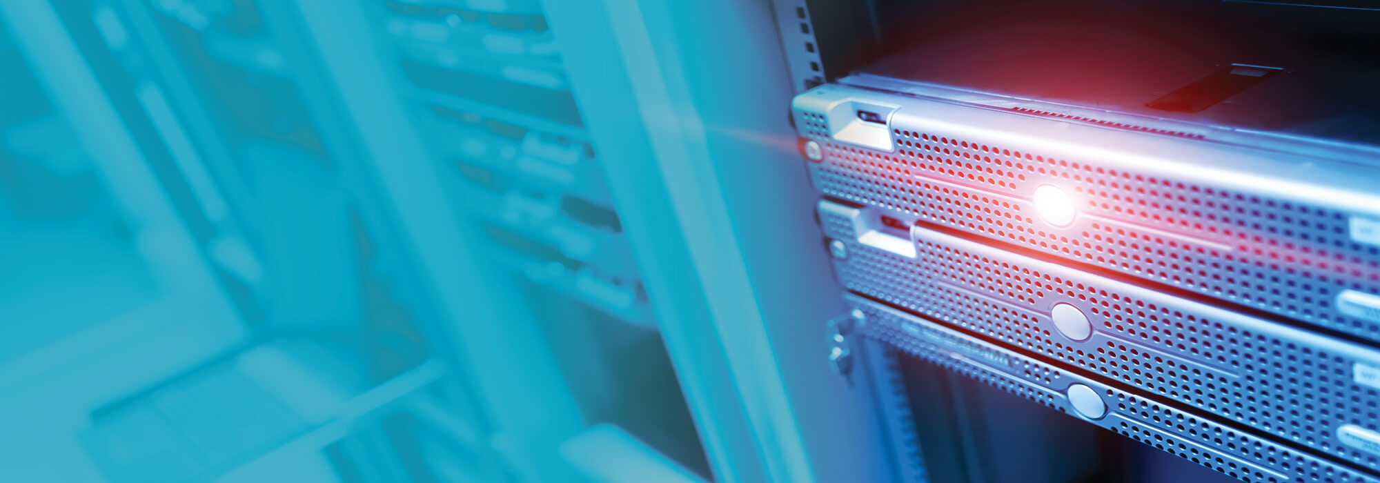 Systems & Storage Link Consulting