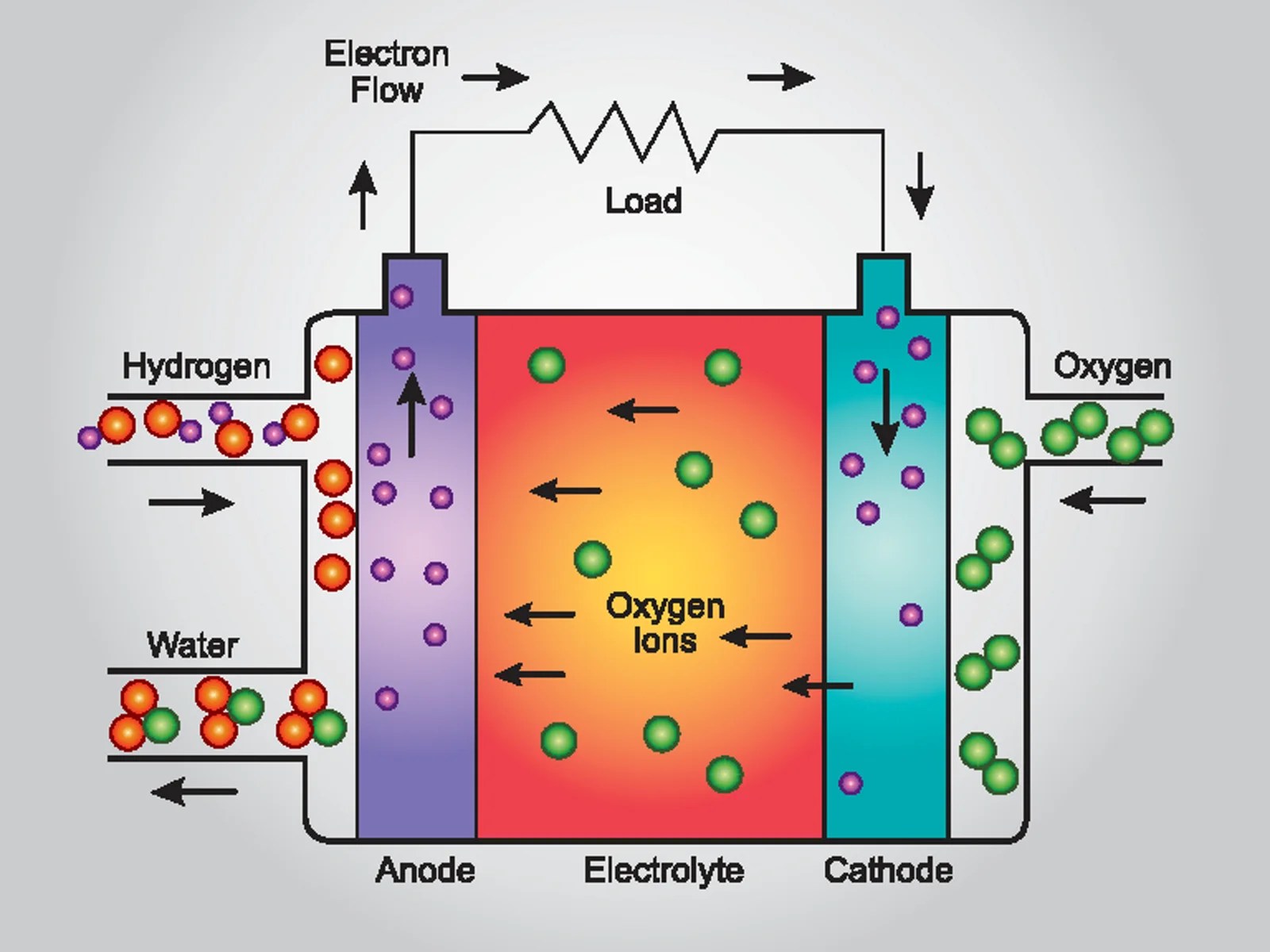 Fuel Cells Powering the Future A Deep Dive into the Fuel Cell Market