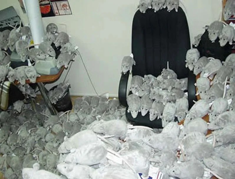 20 Best Cubicle Pranks • Linkiest