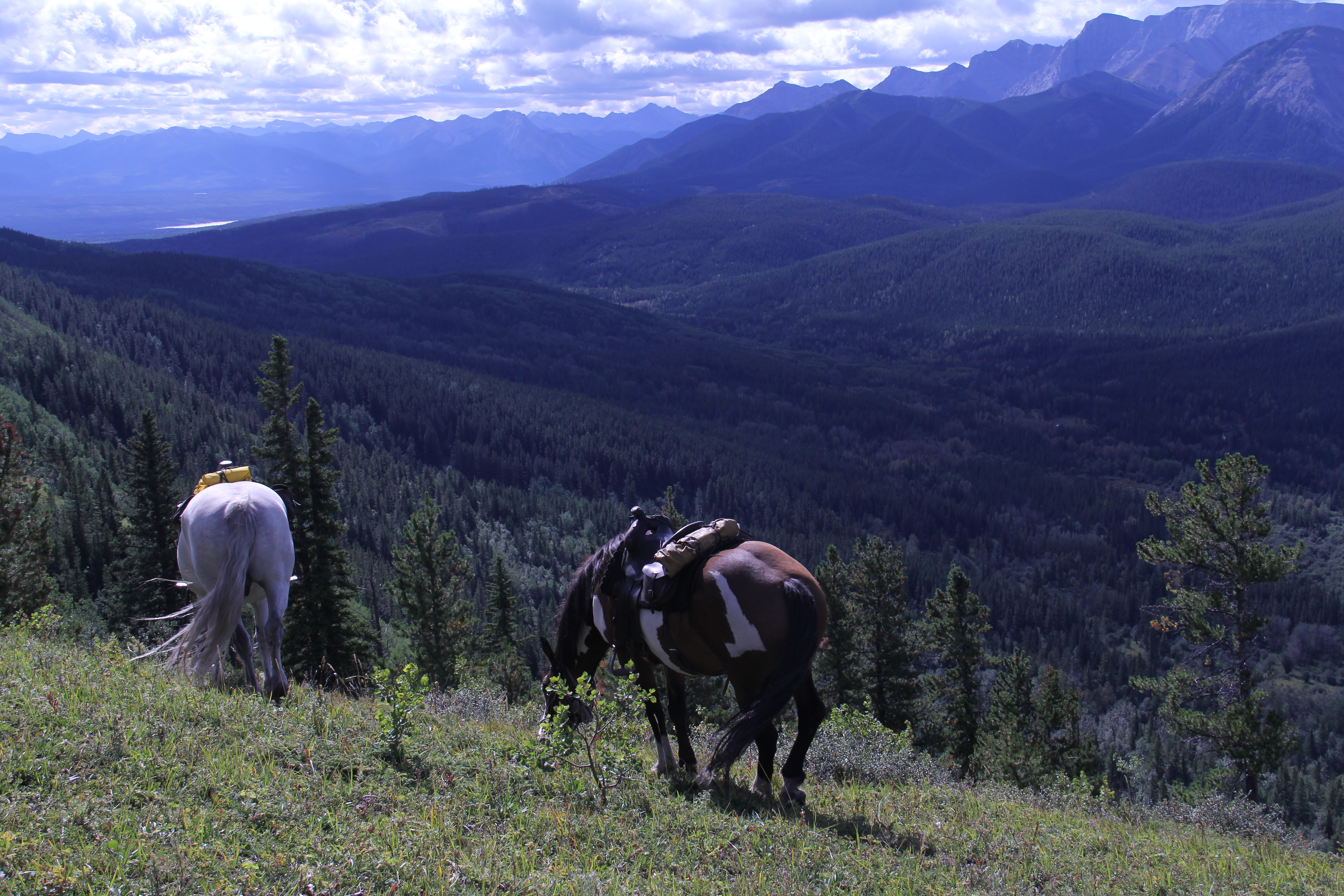 Solomon Valley on Horseback Linking Awareness Adventures