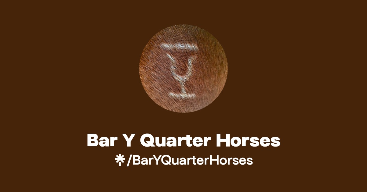 Bar Y Quarter Horses Facebook Linktree