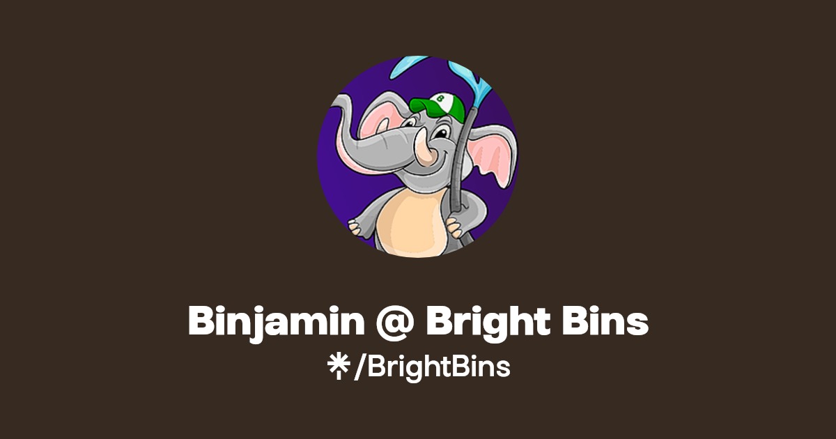 Binjamin Bright Bins Linktree
