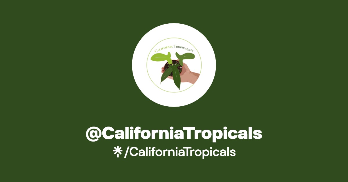 CaliforniaTropicals Instagram, TikTok Linktree