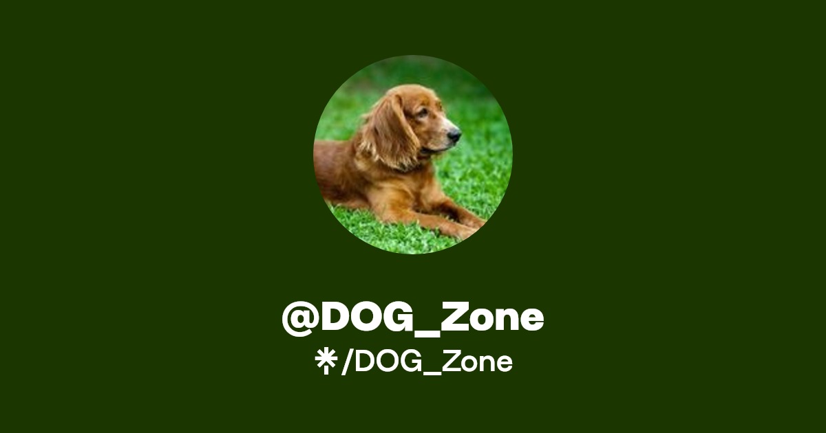 DOG_Zone Linktree