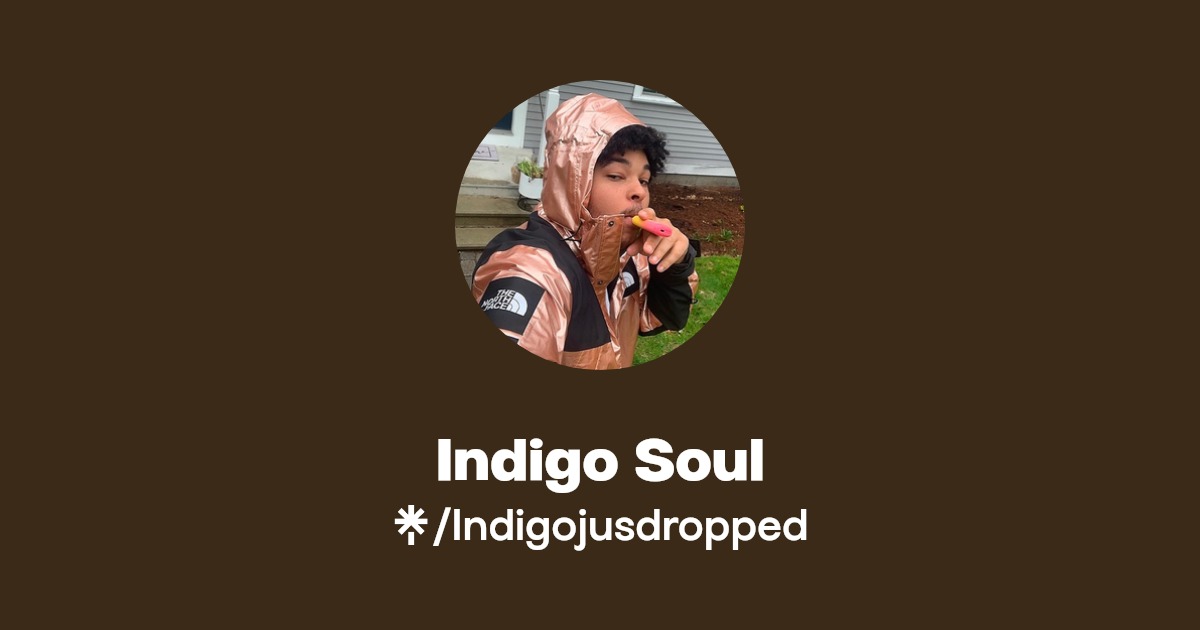 Indigo Soul TikTok Linktree