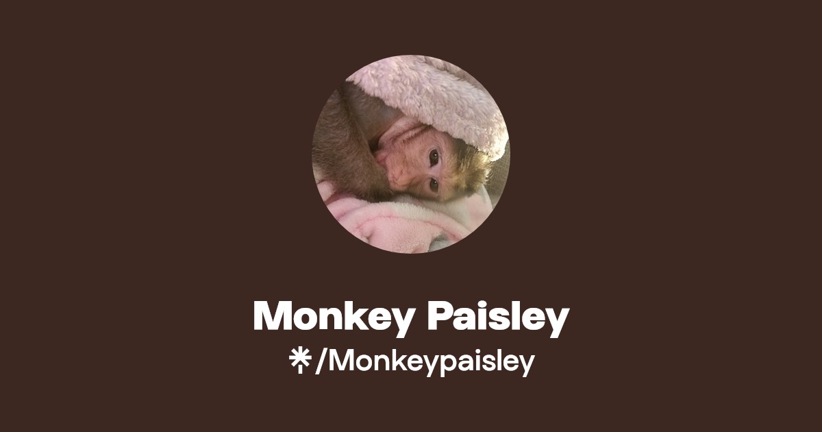 Monkey Paisley Linktree