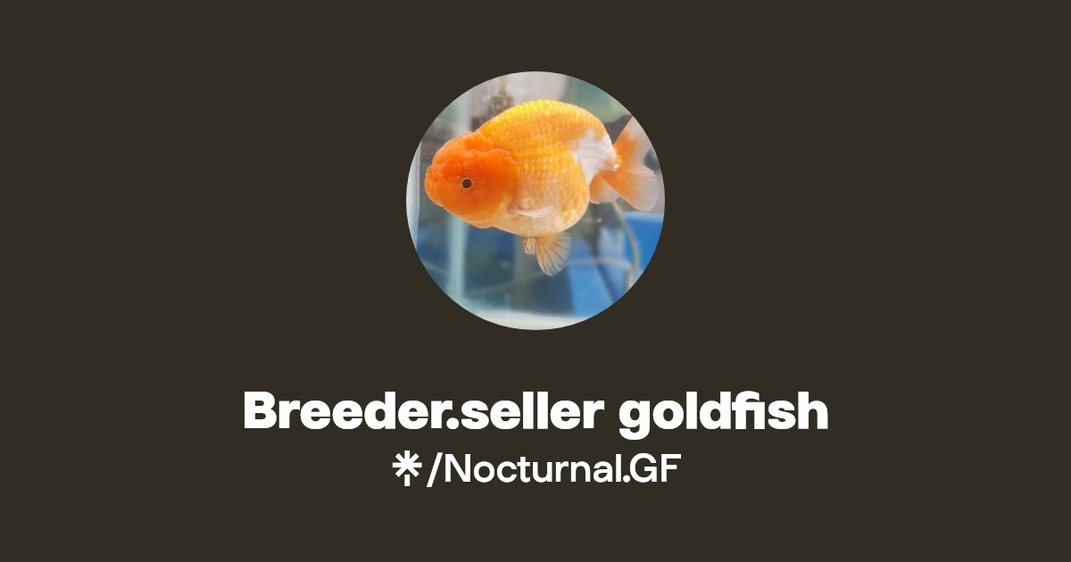 Breeder.seller goldfish Instagram, TikTok Linktree