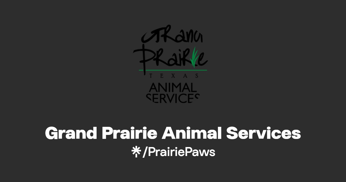 Grand Prairie Animal Services Linktree
