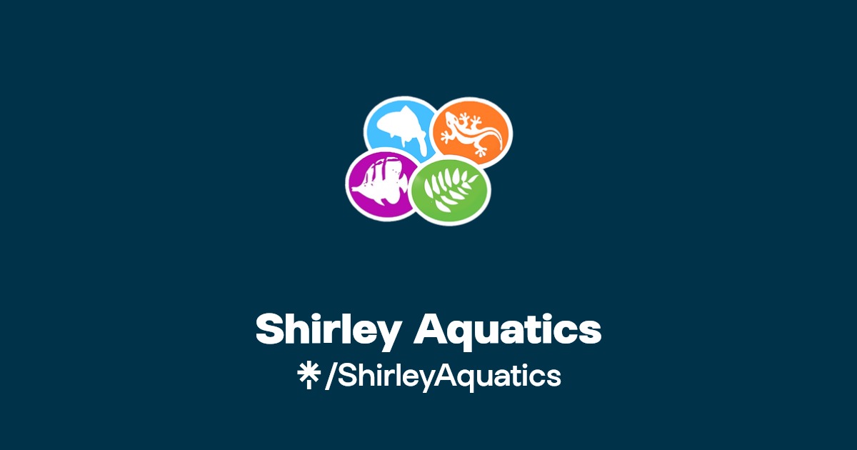 Shirley Aquatics Instagram, Facebook Linktree
