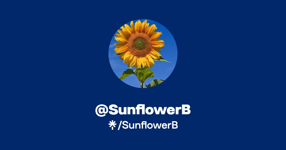 @SunflowerB | Linktree