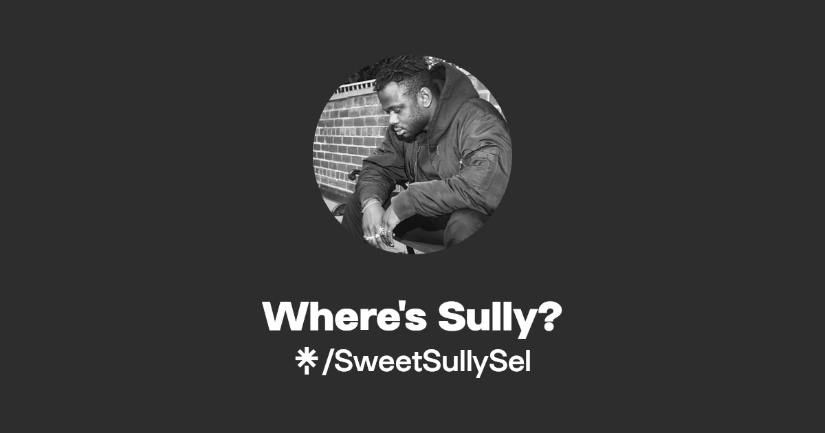 SweetSullySel | Instagram, TikTok, Twitch | Linktree