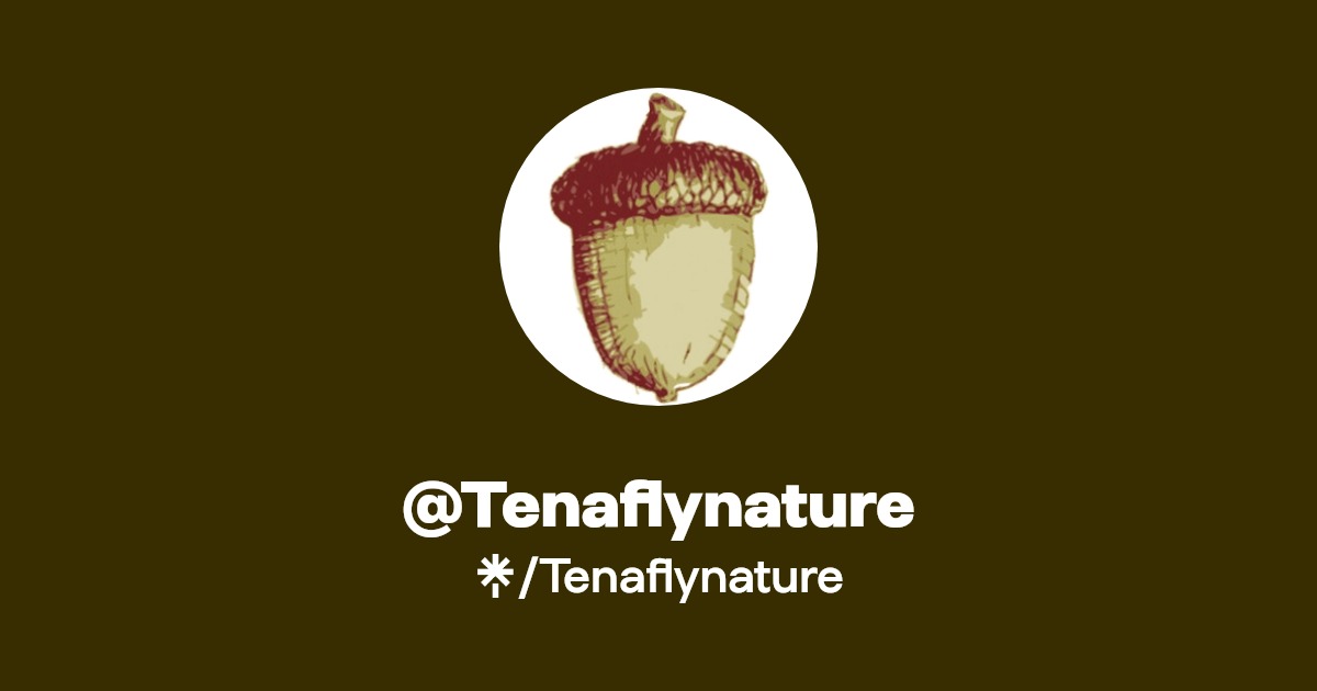 Tenaflynature Instagram, Facebook Linktree