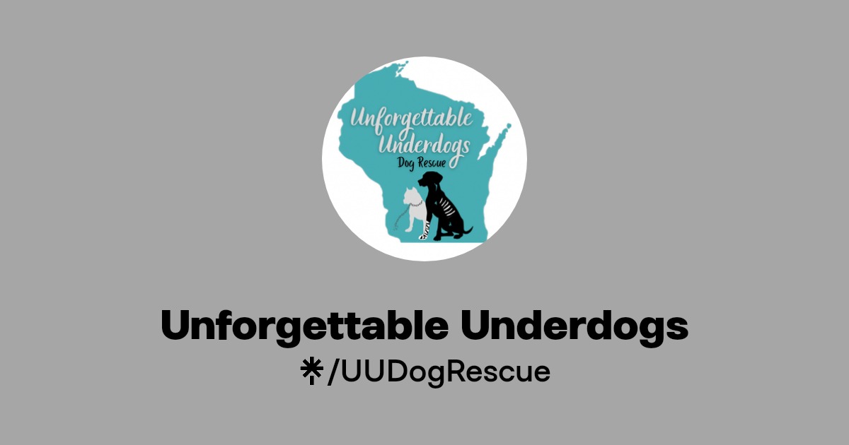 Underdogs Instagram, Facebook Linktree