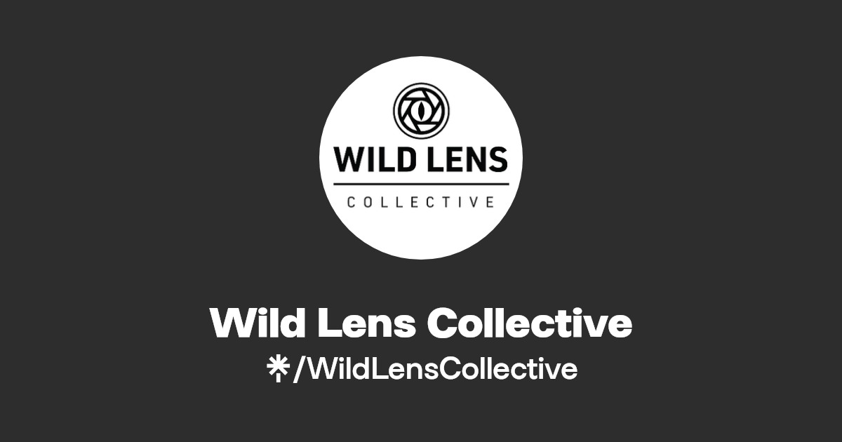 Wild Lens Collective Instagram, Facebook Linktree