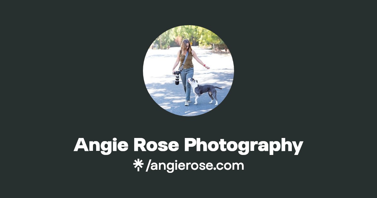 Angie Rose Photography Linktree
