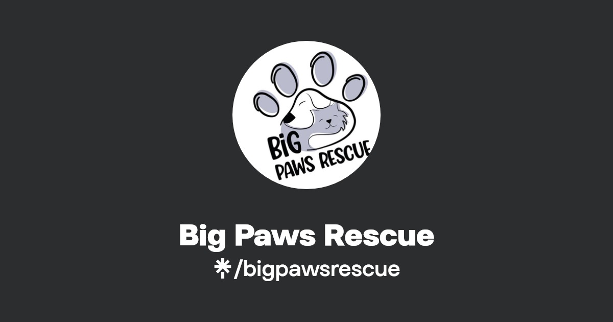 Big Paws Rescue Twitter, Instagram, Facebook Linktree