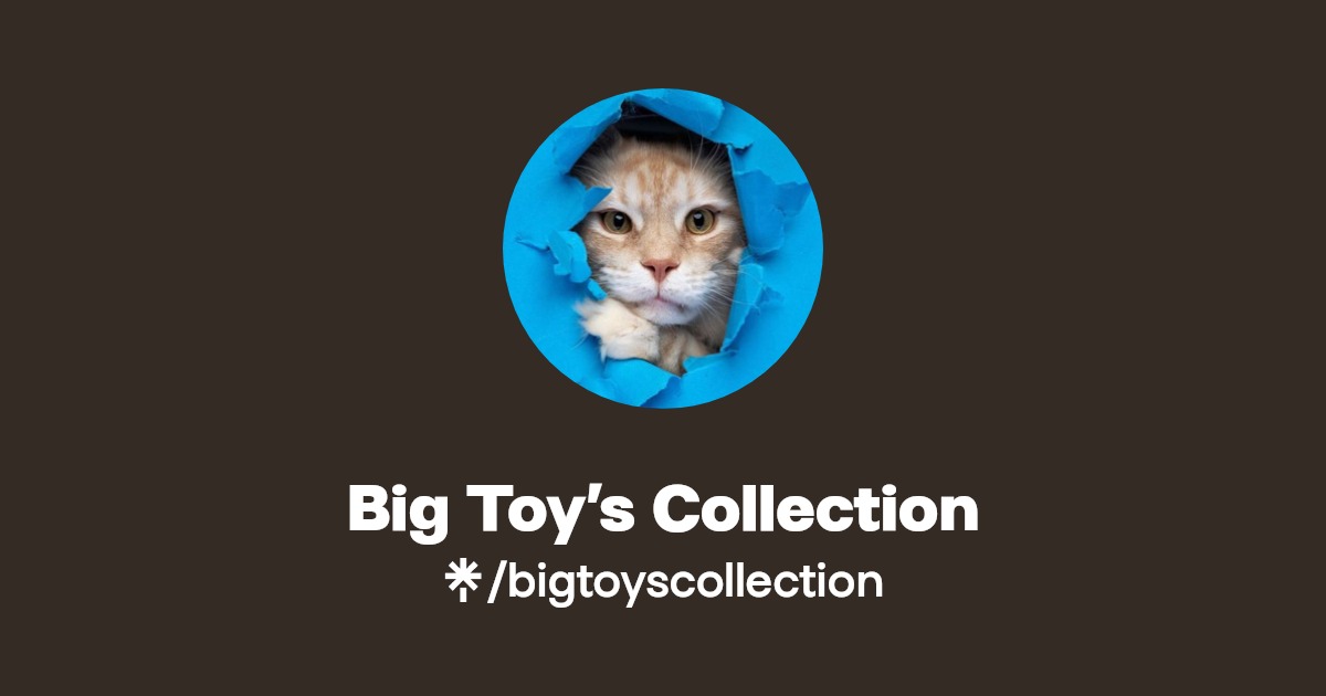 Big Toy’s Collection(bigtoyscollection) Official Linktree
