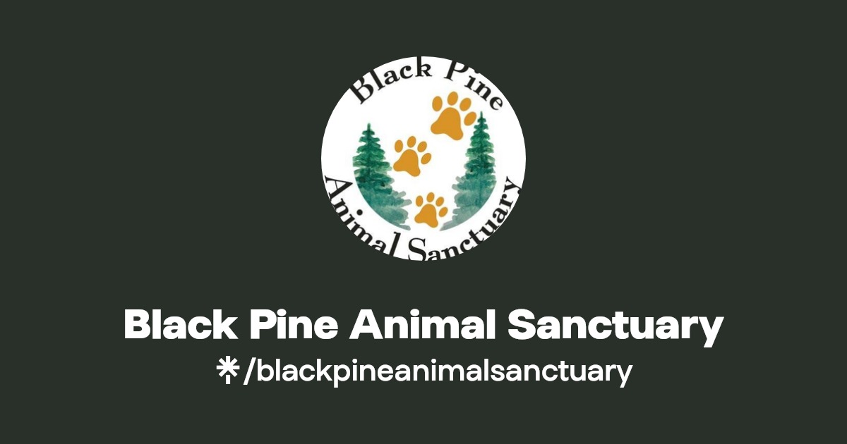 Black Pine Animal Sanctuary Linktree