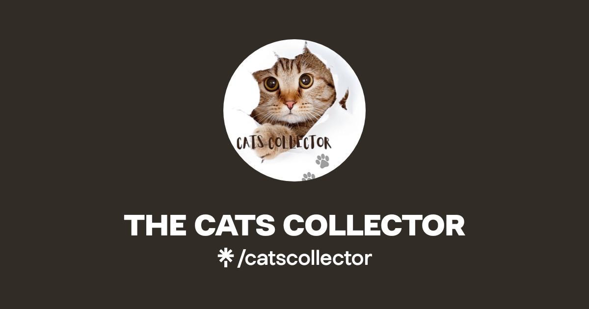 THE CATS COLLECTOR Instagram, TikTok Linktree