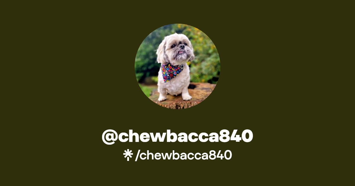 chewbacca840 Instagram Linktree