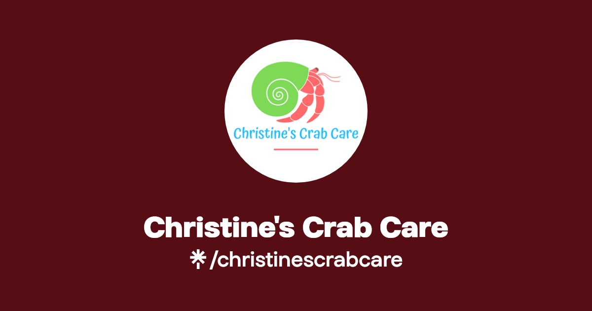 Pet Hermit Crab Supplies Instagram Linktree